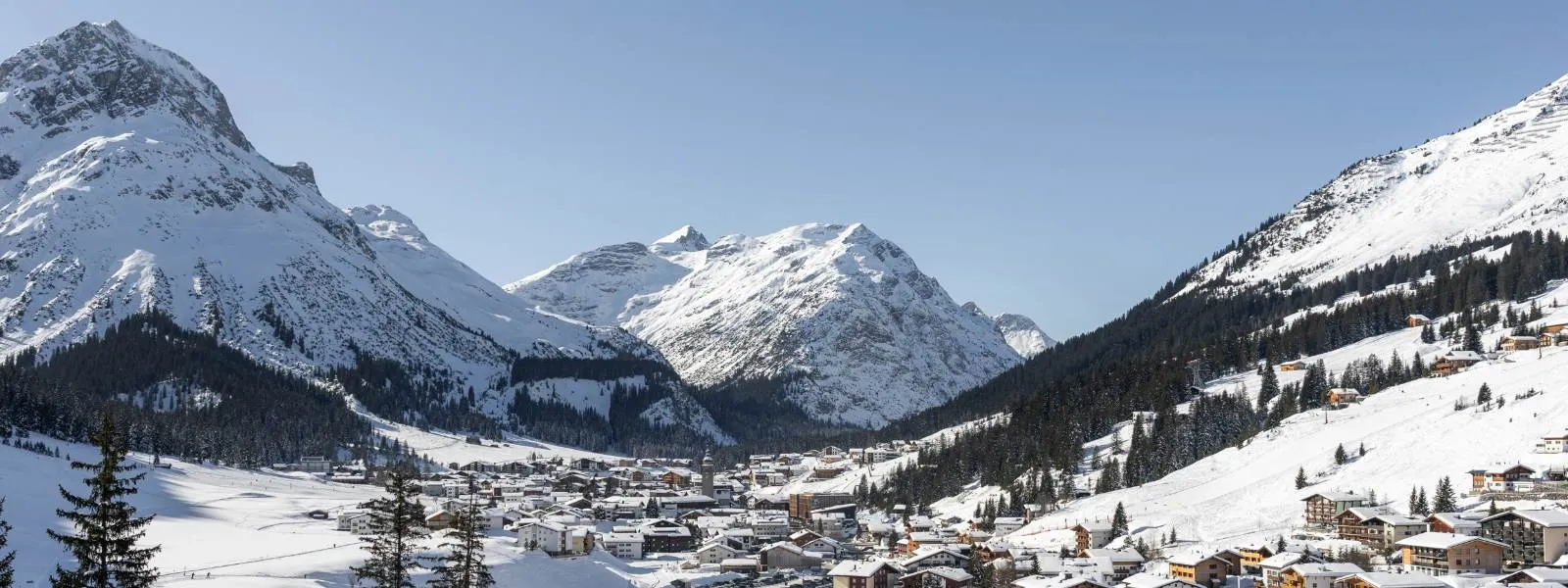 alpin Family Newsletter